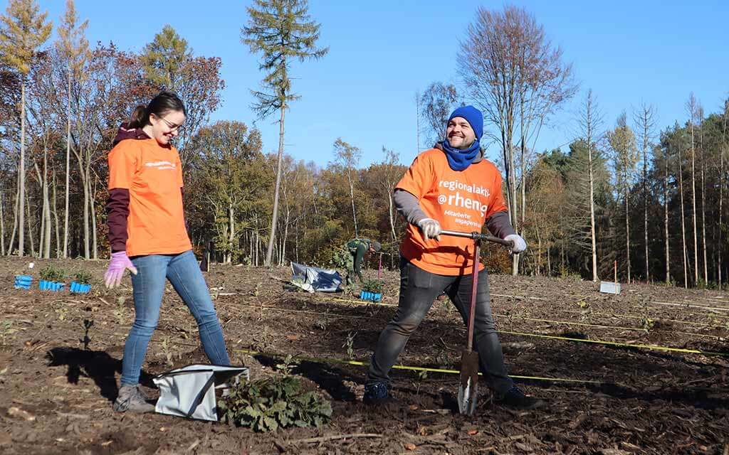 Zwei rhenag Mitarbeiter pflanzen Baumsetzlinge im Zukunftswald.