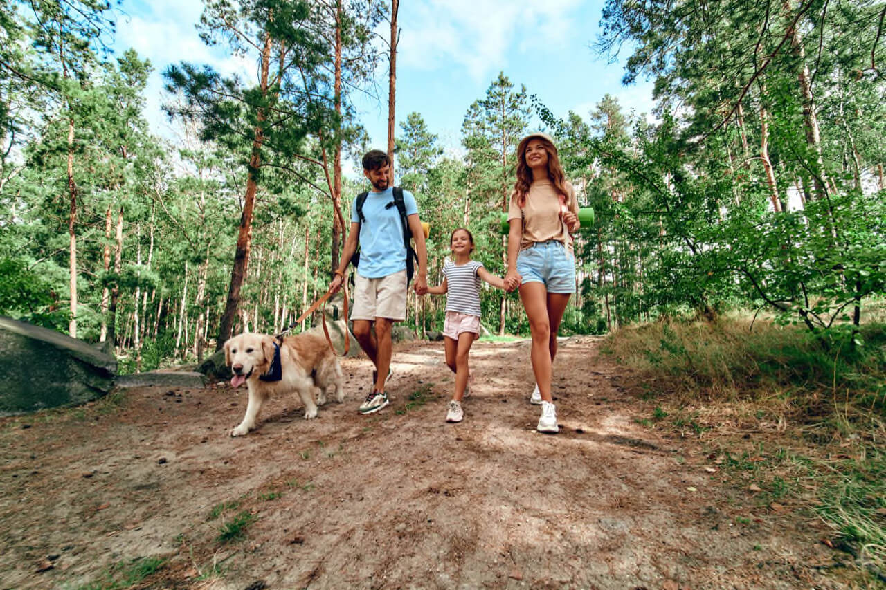 Eltern mit Kind und Hund spazieren im Wald.