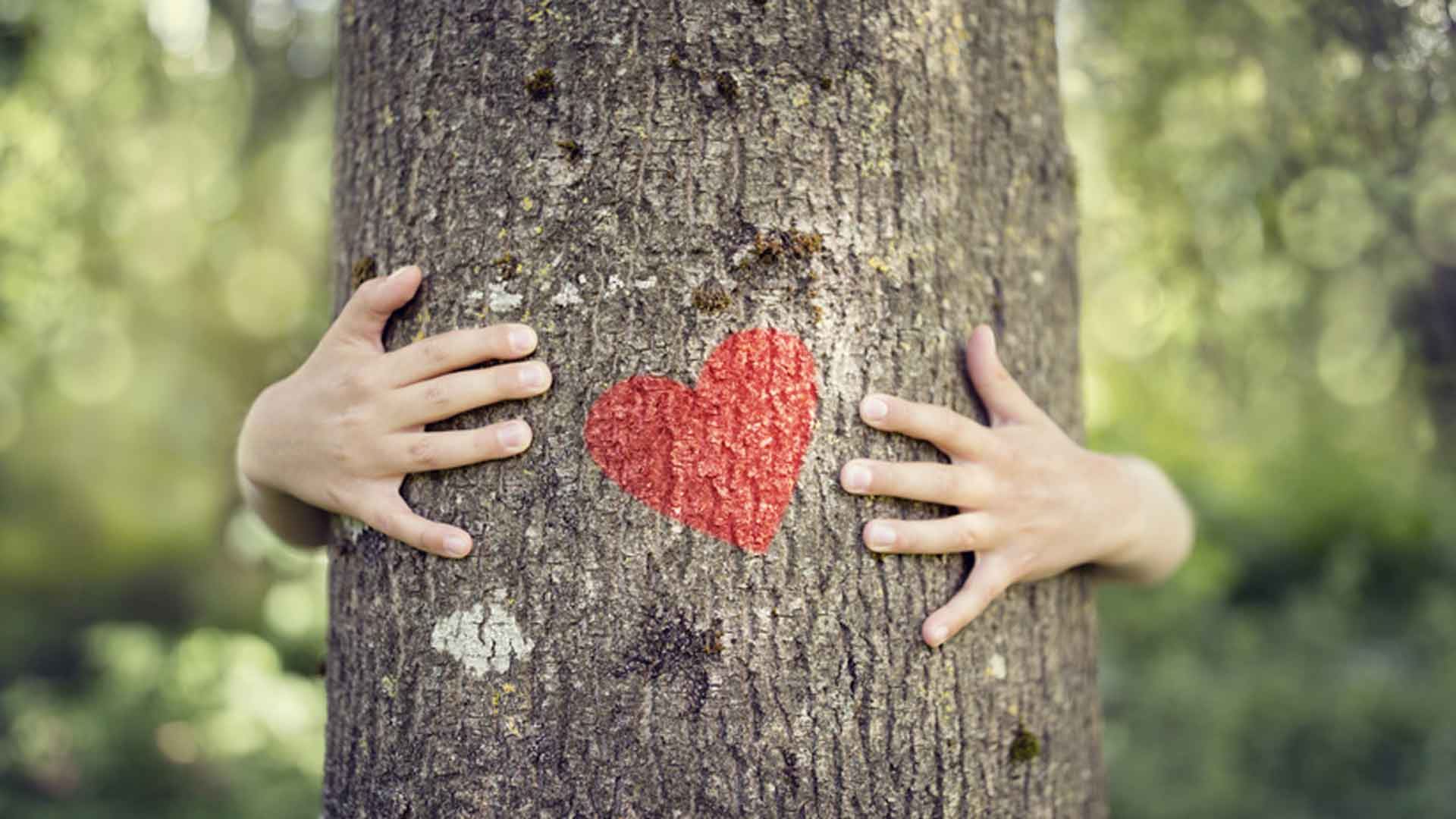 Kind umarmt Baum mit Herz auf dem Stamm